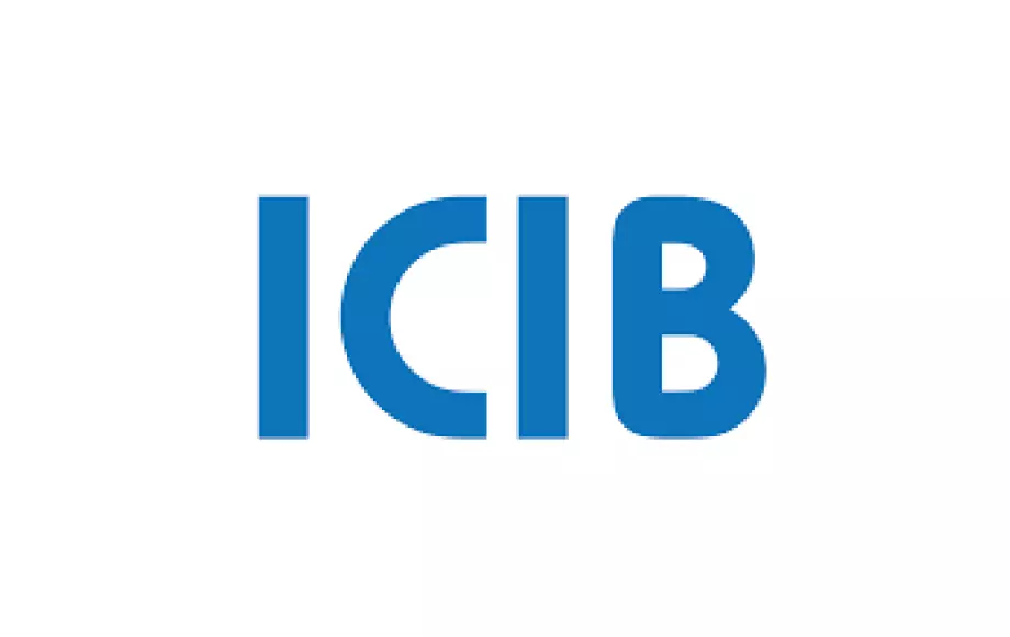 ICIB Logo